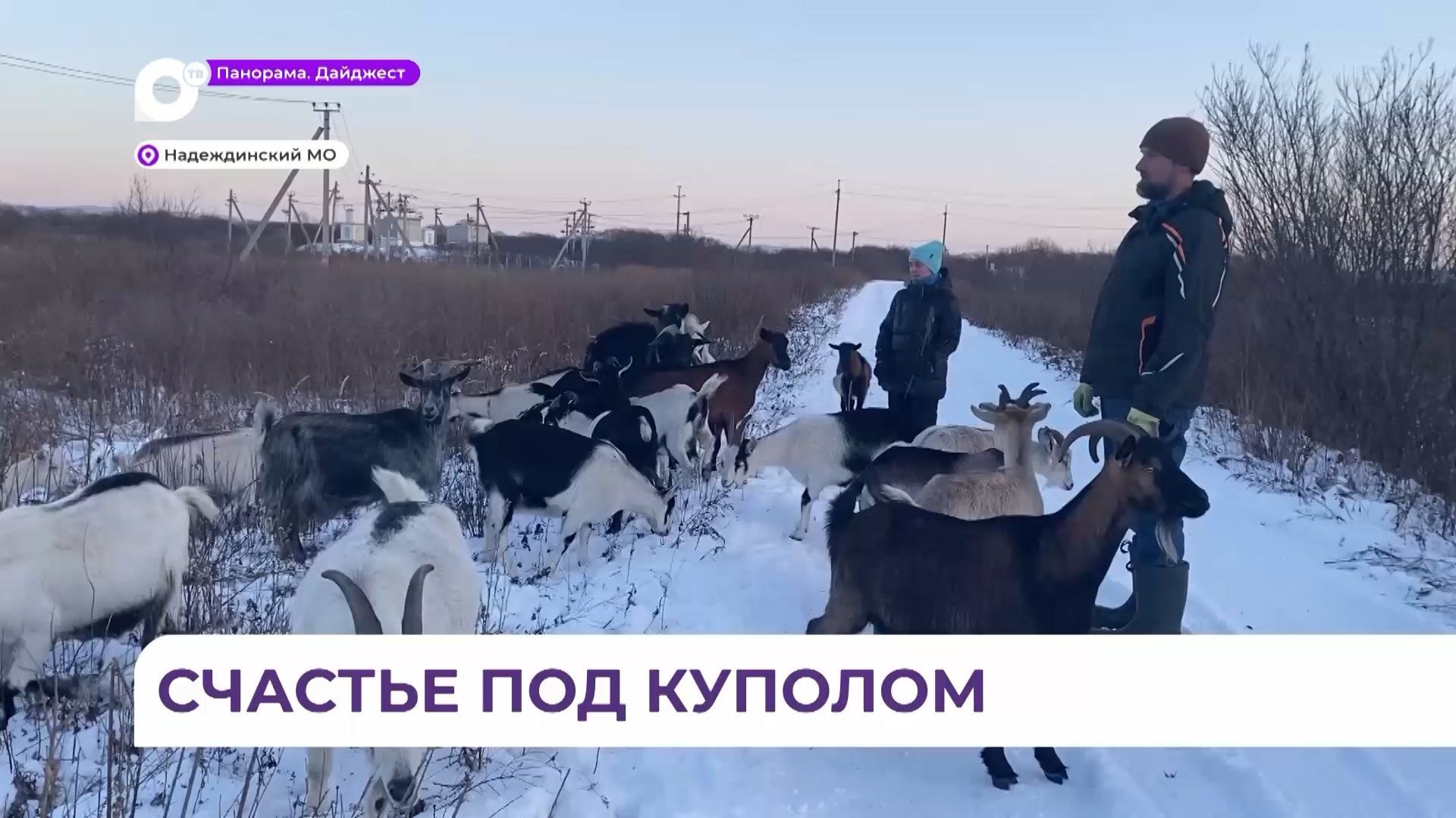 Для семьи Столяровых из Приморья программа «ДВ гектар» стала открытой дверью в новую жизнь смотреть онлайн