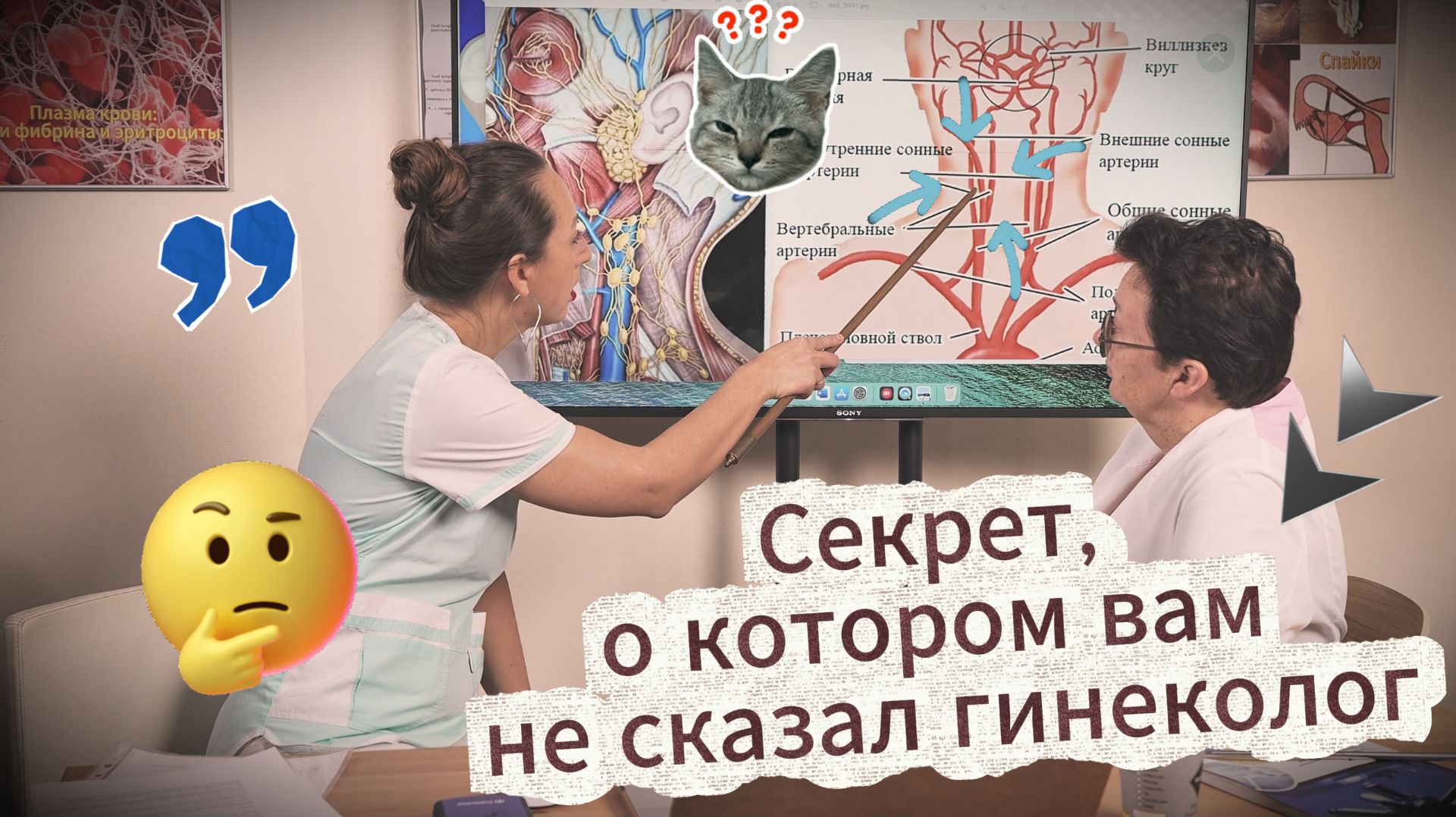 Почему у вас отсутствует результат при лечении женских болезней? смотреть онлайн