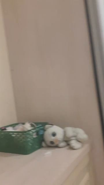 щж смотреть онлайн