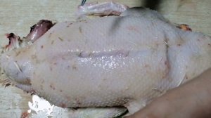 Ощип утки без спецоборудования для начинающих. Электрощипцы, как ими пользоваться?