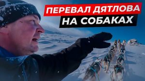 Восхождение на Перевал Дятлова на собаках. Как это было.