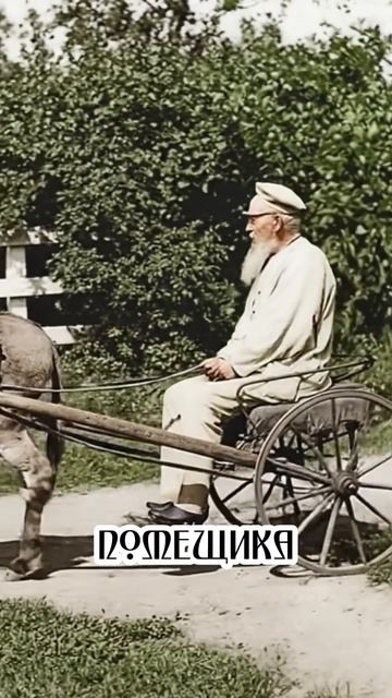 Клип @yaroslavl.bloger смотреть онлайн