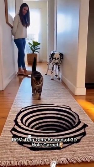 Реакция котов и собак на 3D коврик😂