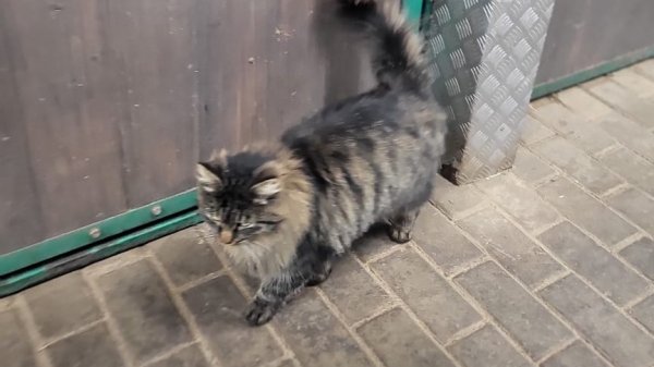 Катя и Дима