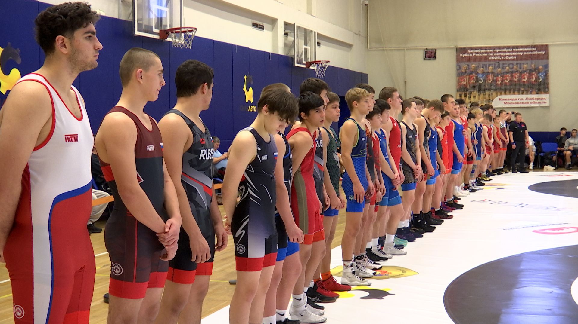 Соревнования по греко-римской борьбе смотреть онлайн