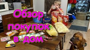 Обзор покупок в Ленте. Новый год и ремонт. (12.25г.) Семья Бровченко.