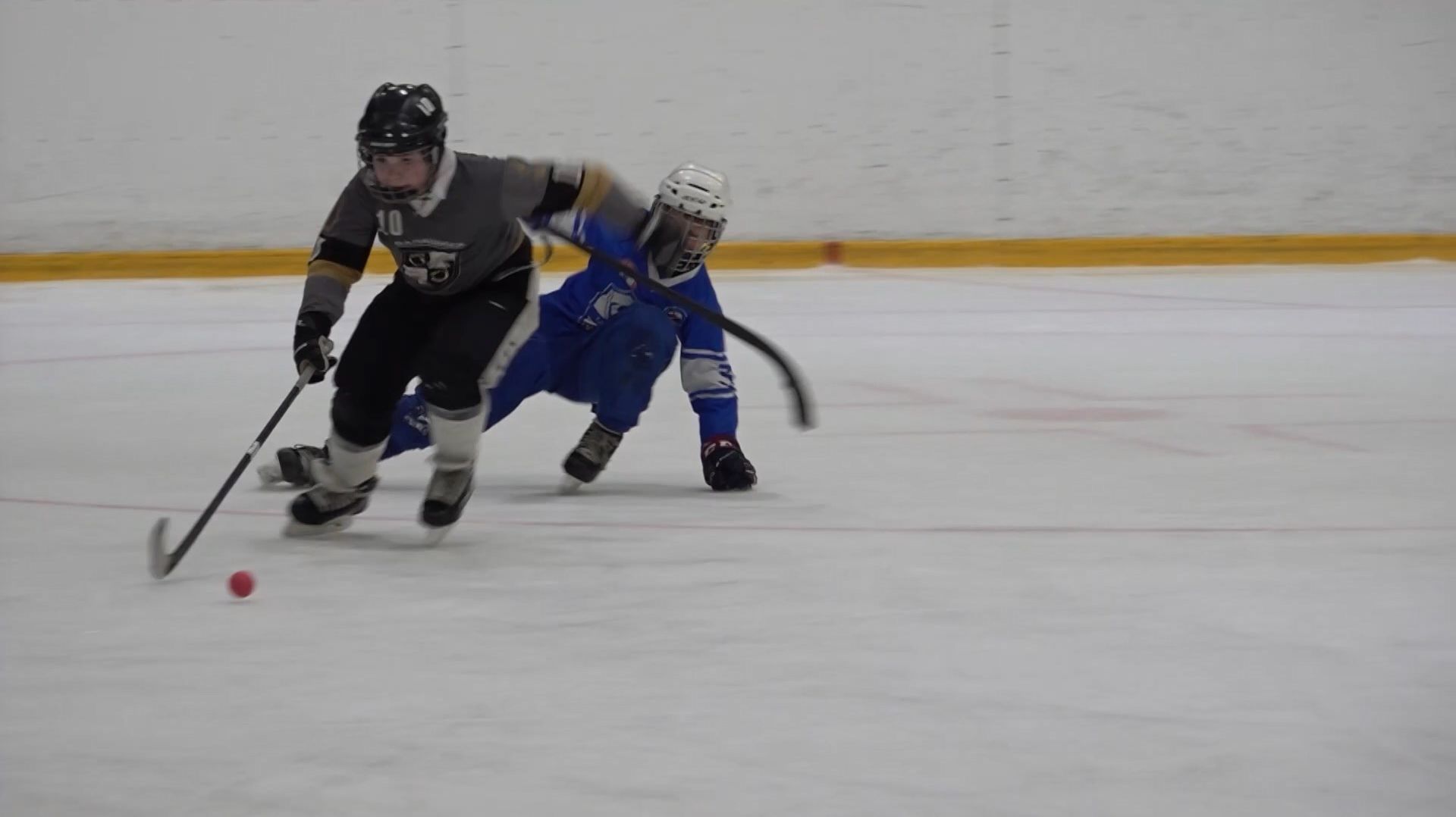 (12+) Мяч вместо шайбы: как прошел турнир по мини-хоккею смотреть онлайн