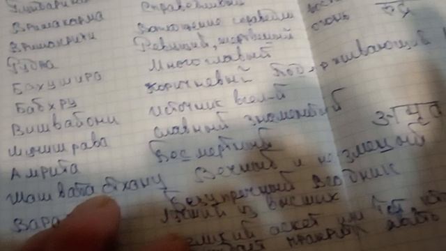 99 имён Аллаха и 1008 имён вишну смотреть онлайн