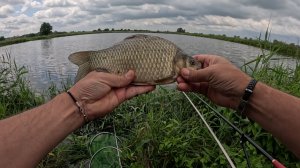 "ХЕРАБУНА" (не панацея)