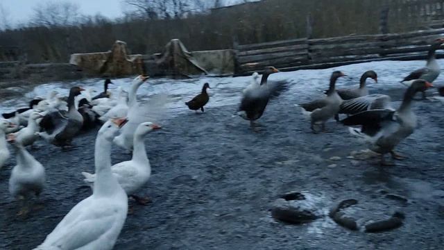 Новый день смотреть онлайн