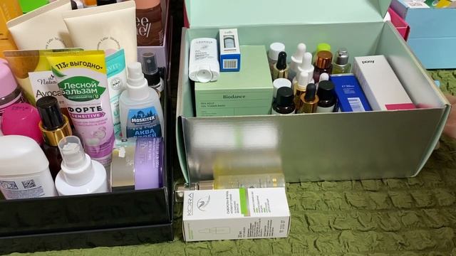 Выбирашки ухода на декабрь.