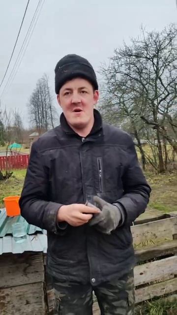 Еду за наградой помощнику 🤗 #шаурма #шавухатайм смотреть онлайн