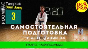 Пхумсэ №3 (Тхэгук Сам-Джан) Тхэквондо для самых маленьких и старше.