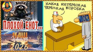 Голодный енот атакует по пятницам Новый год Мир танков