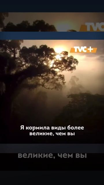 05-12-2025 Обращение Природы.