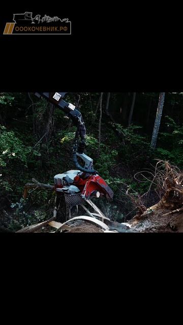 Харвестер на базе гусеничного экскаватора раскряжевывает бревно на сортименты #харвестер #экскаватор смотреть онлайн