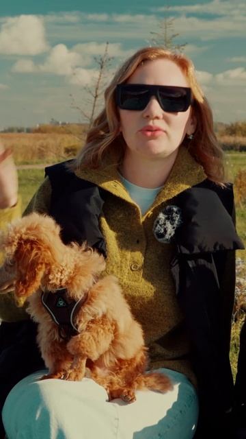 Карликовый пудель! Как так получилось!? смотреть онлайн