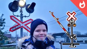 Жд переезд и хитрые вороны