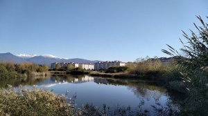 Шикарный вид на горы в орнитологическом парке. Сириус