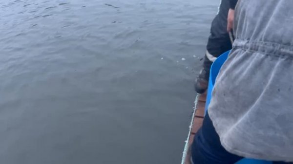 05.12.25. Зарыбление VIP зоны форелью.