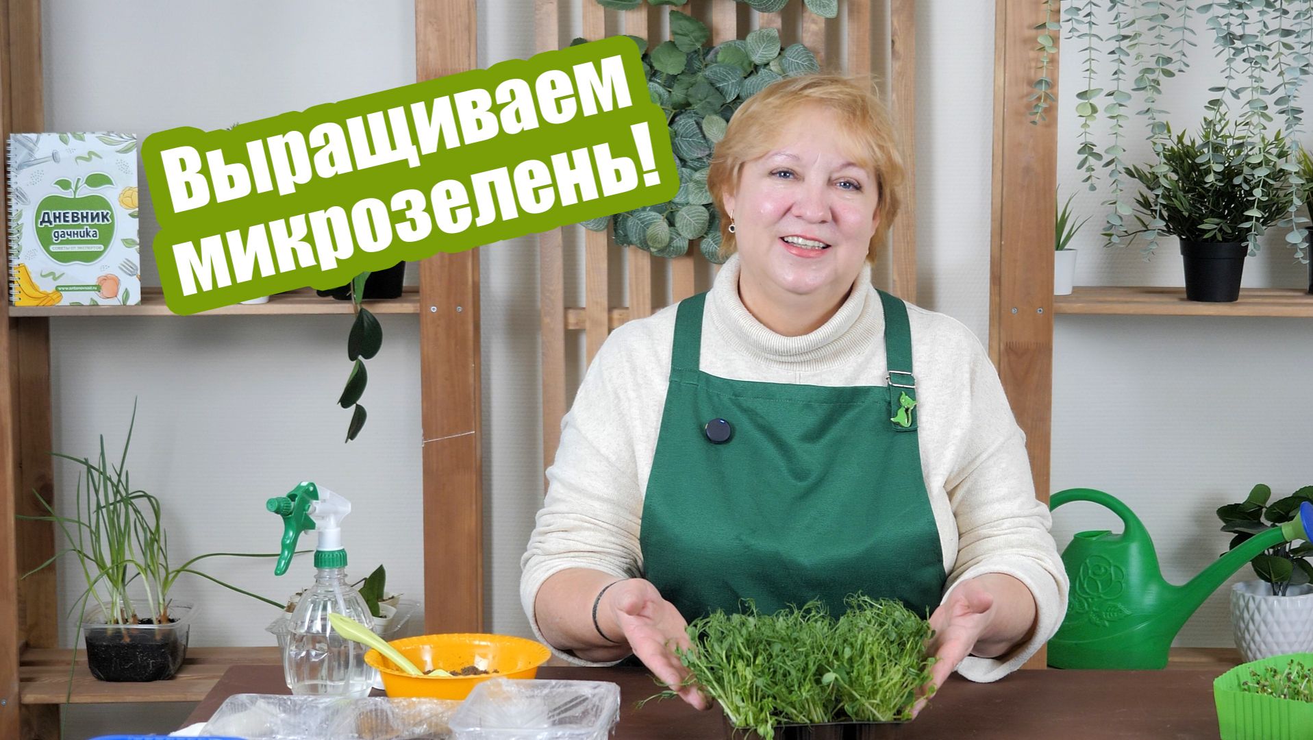 3 способа, как вырастить микрозелень в домашних условиях смотреть онлайн