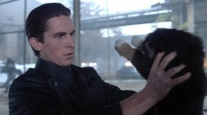 Собачий приют (кф. Эквилибриум)