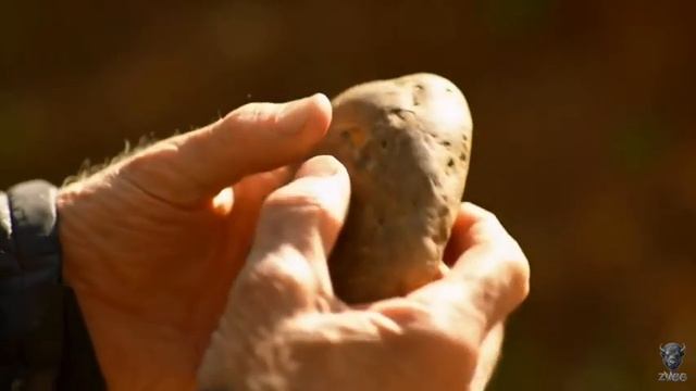 так хочется жить.mp4 смотреть онлайн