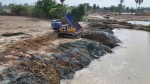 Засыпка новой площадки — великолепная работа бульдозера KOMATSU D60P и 15-тонного самосвала!