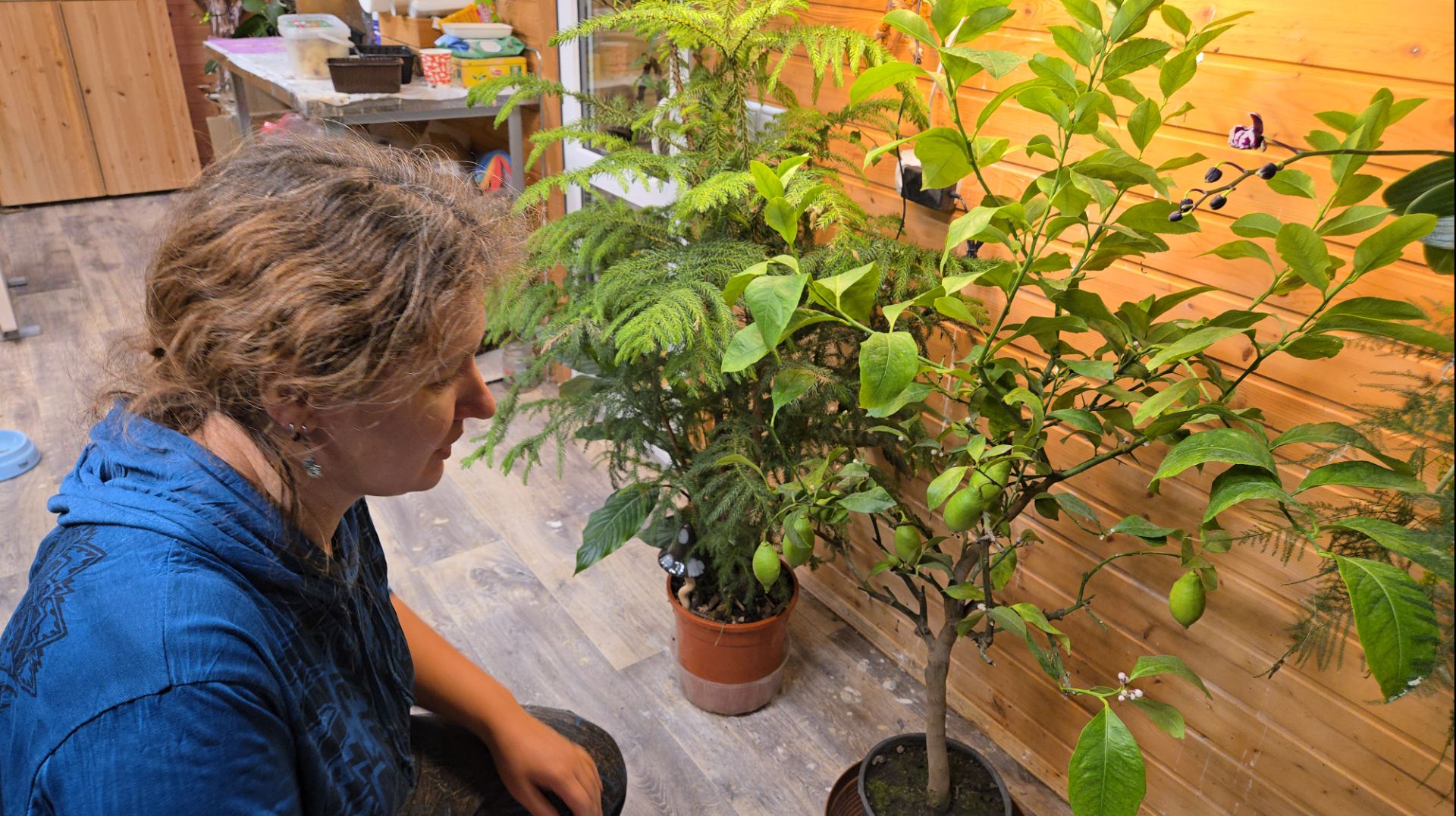 Ленивое утро, лимон в подарок и яркая ложка смотреть онлайн