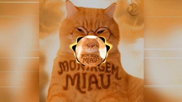 LUNAR - MONTAGEM MIAU - SLOWED - full version - PHONK (1 ЧАС)