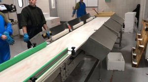 Линия по потрошению форели