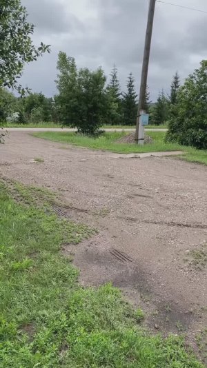 Заправила бензином 😂😄
