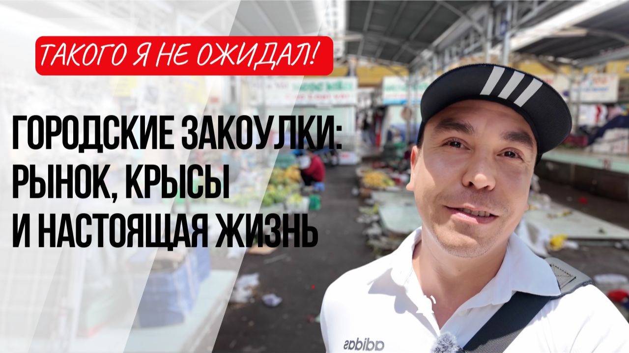 Городские закоулки: рынок, крысы и настоящая жизнь в Нячанге