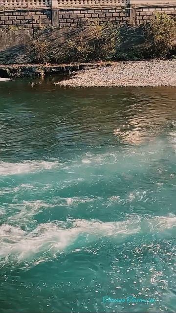 #сочисегодня2025 смотреть онлайн