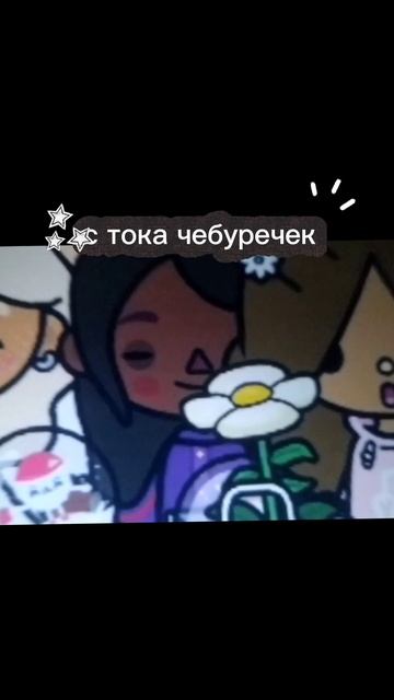 коллабб с тока чебуречек тока бока смотреть онлайн