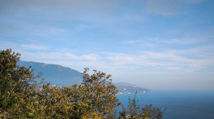 Песенная Медитация 05.12.2025