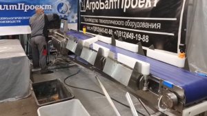 Динамическое взвешивание и сортировка рыбы. Грейдер.