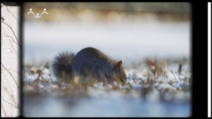 А вы знаете, что... Белки