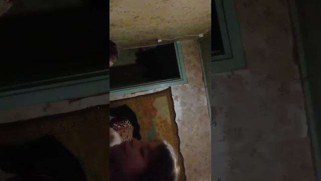 дрсршс смотреть онлайн