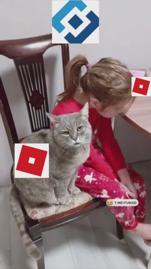 Роблокс заблокировали - 3 декабря 2025 #мультики #роблокс #приколы #юмор