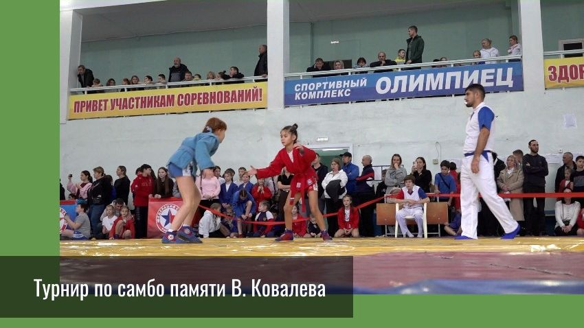 Турнир памяти Владимира Ковалева смотреть онлайн