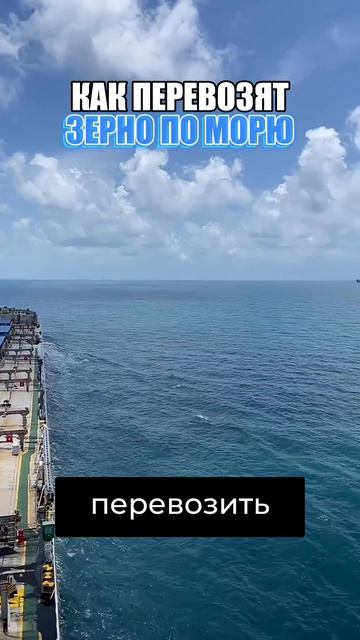 Много хлеба будет значит!