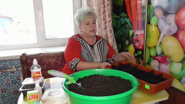 Огород. О посеве семян томатов от А до Я. Очень подробно! 2022 год. смотреть онлайн