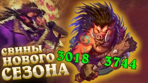 Сборка свинобразов с Хрономалиями. Мета старта сезона