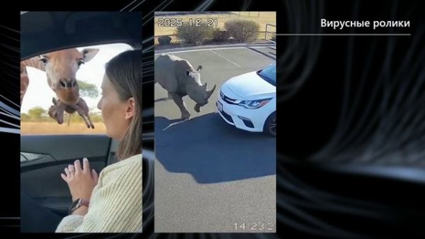 Доклад «Nano Banana Pro, Sora 2, ComfyUI»