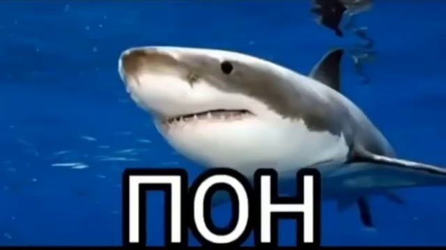 Всё ещё пон смотреть онлайн