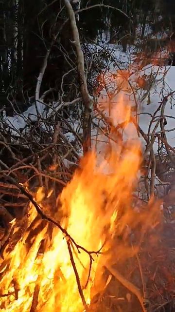 Окоченел на трассе и развёл костёр в кювете. Лютое выживалово на дороге зимой. смотреть онлайн