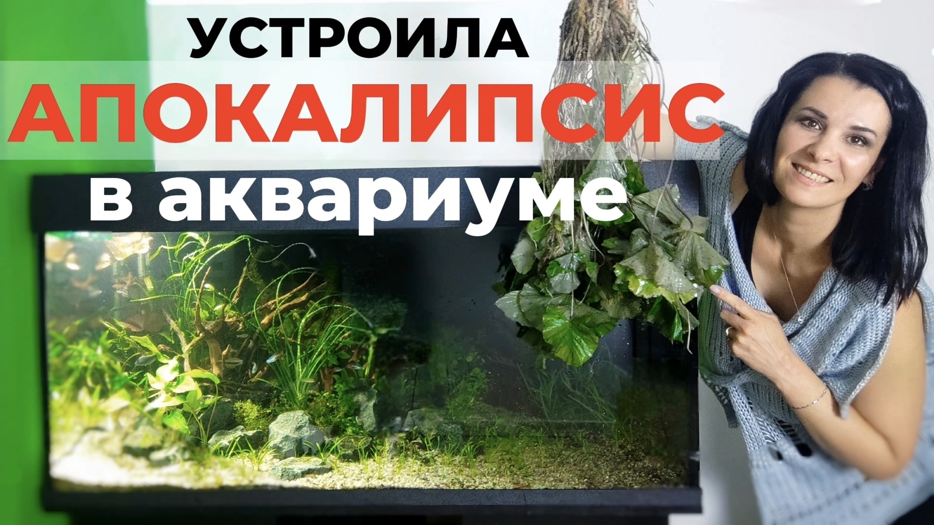 440 литров. Полный редизайн травника. смотреть онлайн