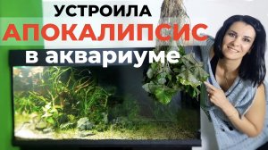 440 литров. Полный редизайн травника.