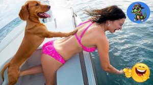 Смешные моменты снятые на камеру👍🤣🤣